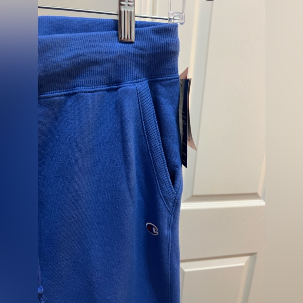 Champion Blue Powerblend, Fleece, Warm and Comfortable Joggers Size Smal… - Picture 7 of 15